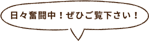 日々奮闘中！ぜひご覧下さい！